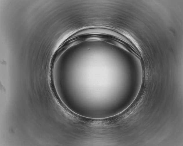 X0000091091093200708061632
