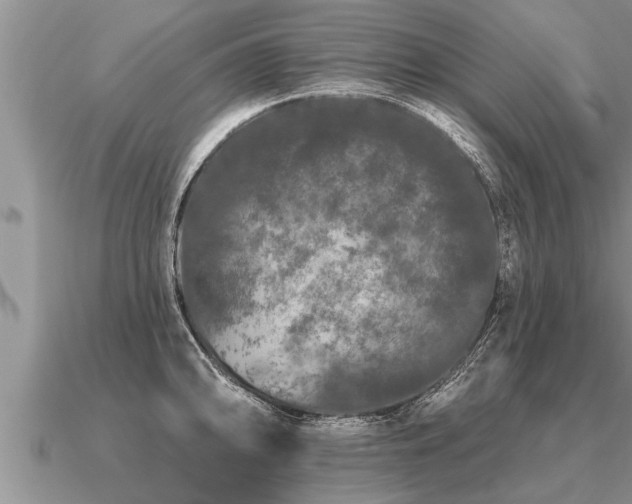 X0000091091094200708061632