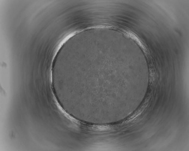 X0000091091095200708061632