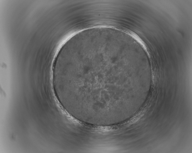 X0000091091096200708061632
