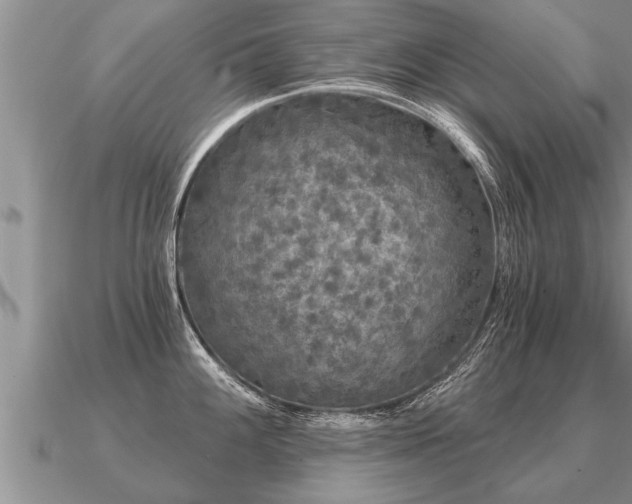 X0000091091100200708061631
