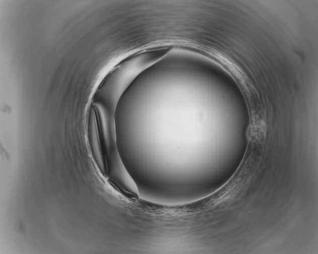 X0000091091102200708061631