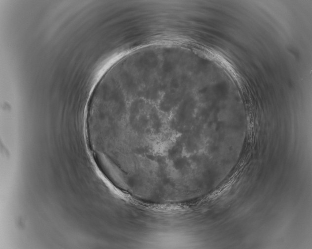 X0000091091103200708061631