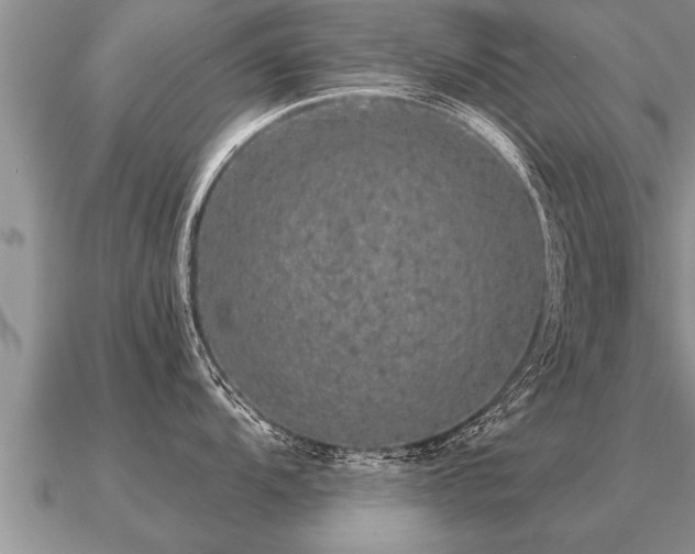 X0000091091104200708061631