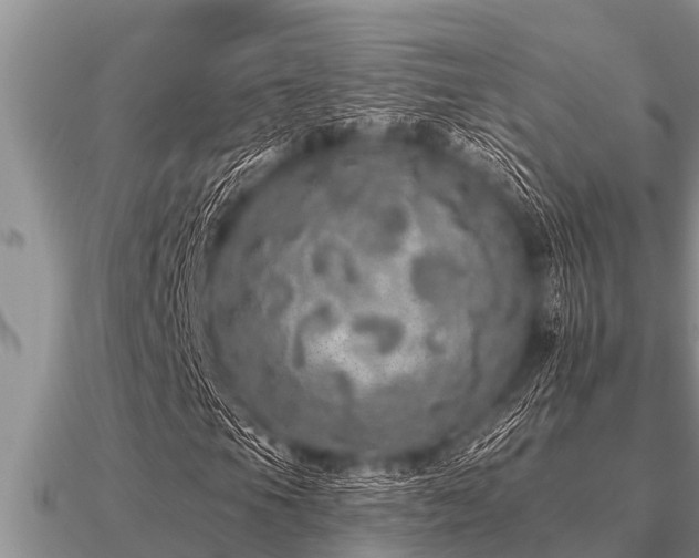 X0000091091105200708061631