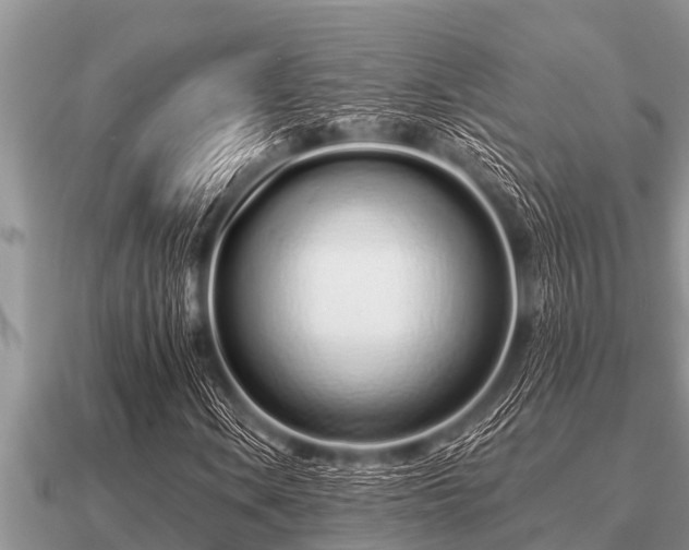 X0000091091106200708061631