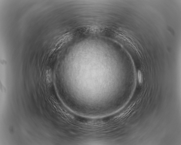 X0000091091107200708061631