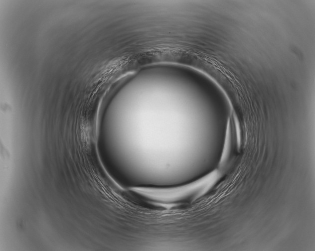 X0000091091108200708061631