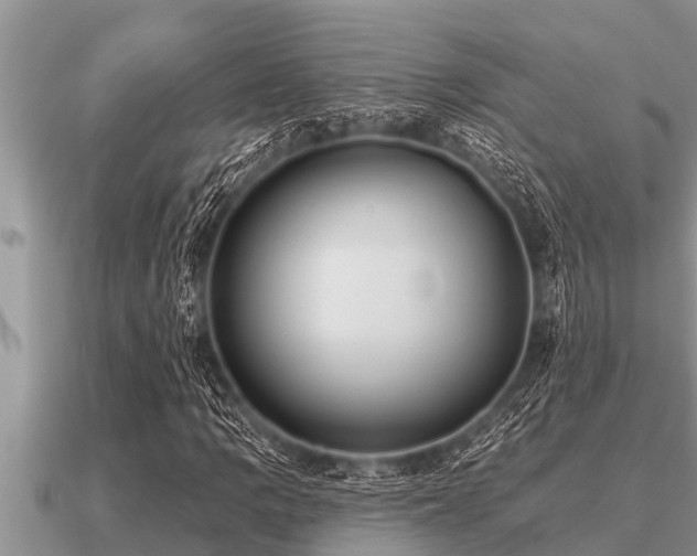 X0000091091109200708061631