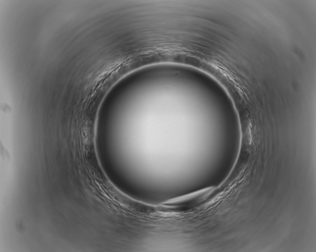 X0000091091110200708061631