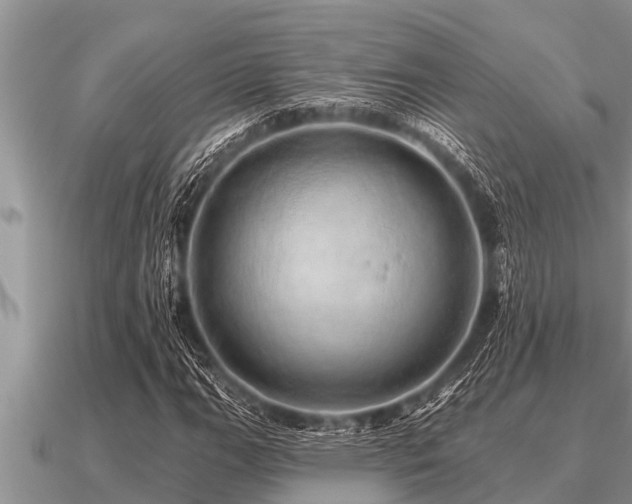X0000091091111200708061631