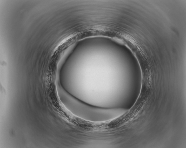 X0000091091112200708061631
