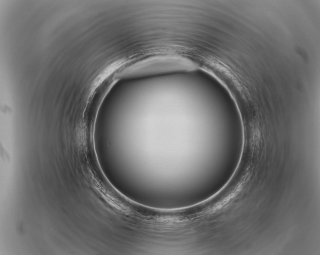 X0000091091114200708061631