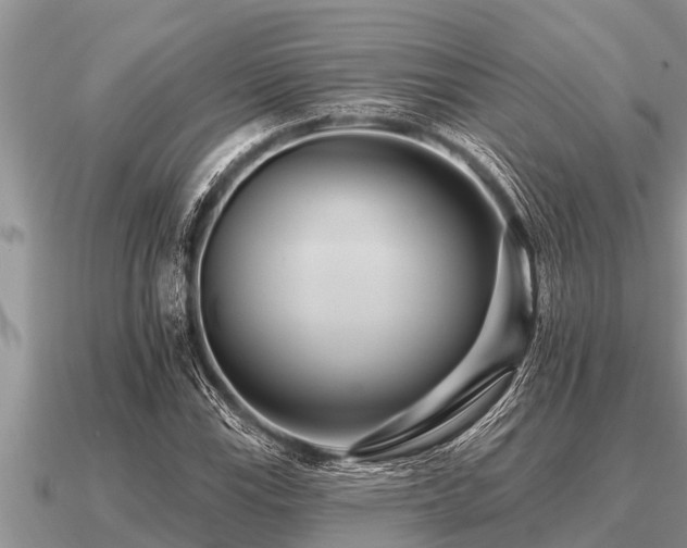 X0000091091115200708061631