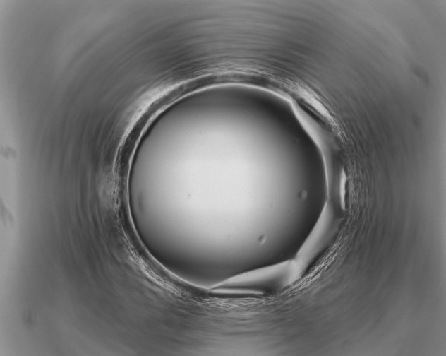 X0000091091116200708061631