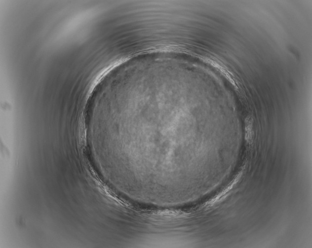 X0000091091117200708061631