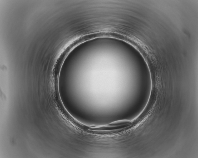 X0000091091118200708061631