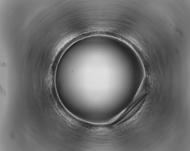 X0000091091119200708061631