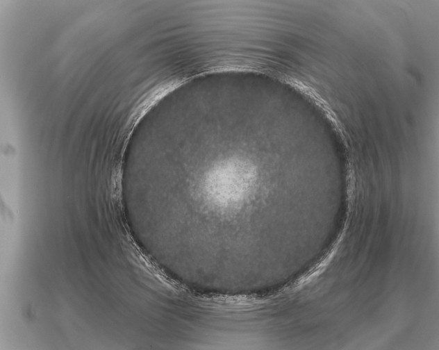 X0000091091121200708061631