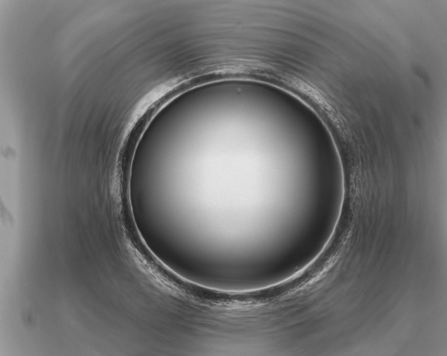 X0000091091122200708061631
