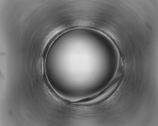 X0000091091123200708061631