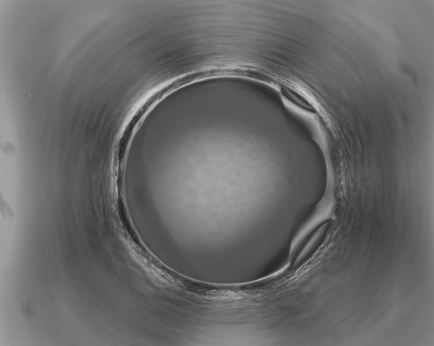 X0000091091124200708061631