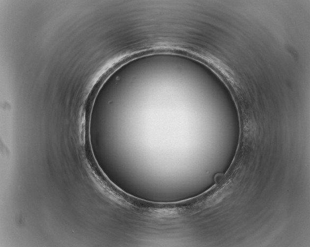 X0000091091126200708061631
