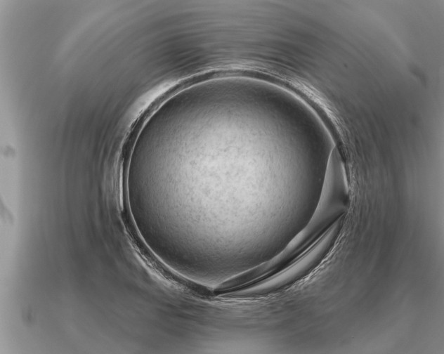 X0000091091127200708061631