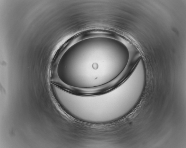 X0000091091128200708061631