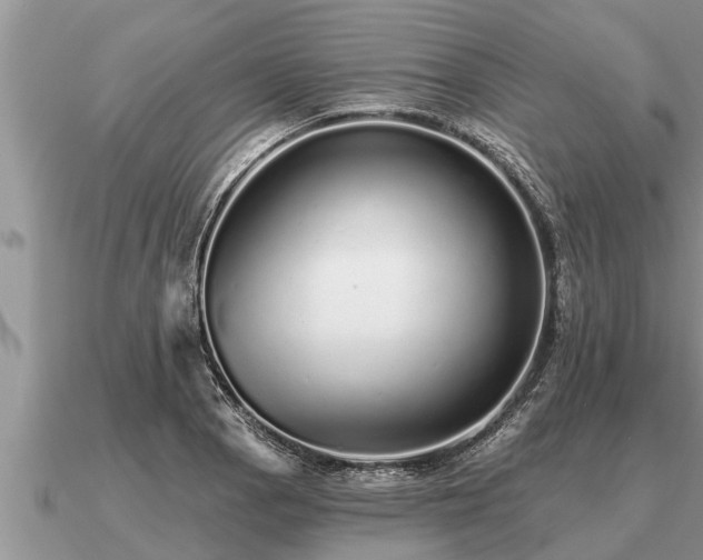 X0000091091129200708061631