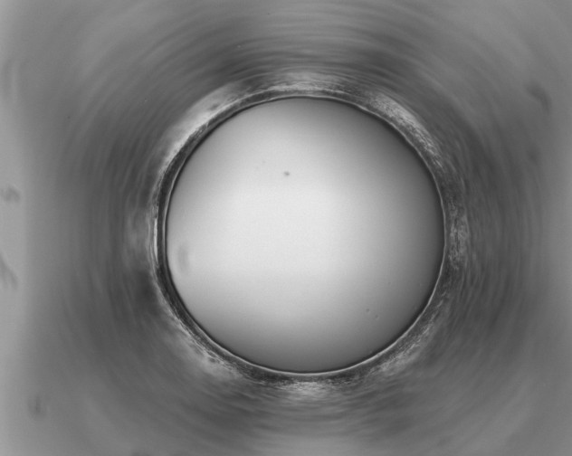 X0000091091130200708061631