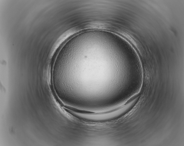 X0000091091131200708061631