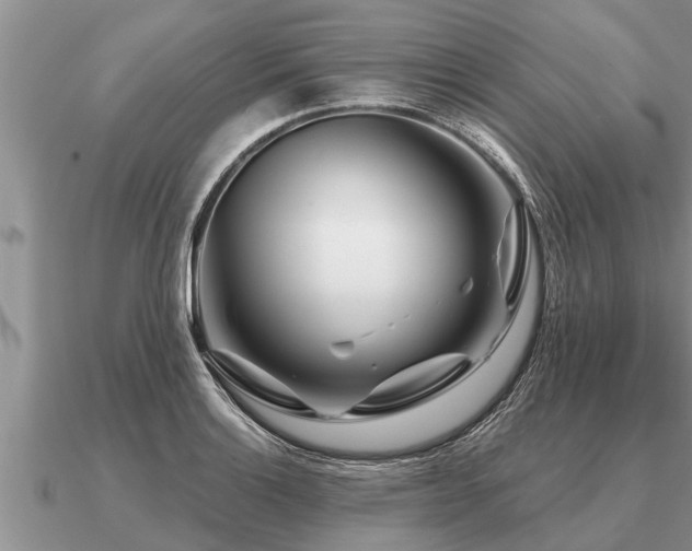 X0000091091132200708061631