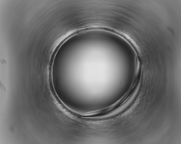 X0000091091134200708061631