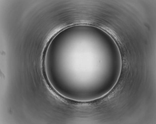 X0000091091135200708061631
