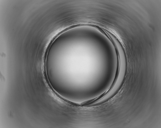 X0000091091136200708061631