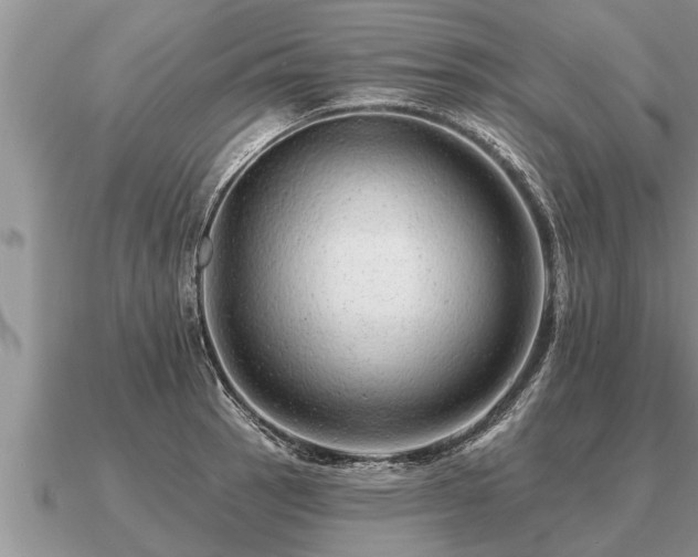 X0000091091137200708061631
