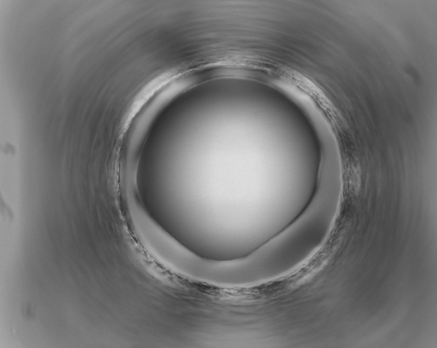 X0000091091138200708061631