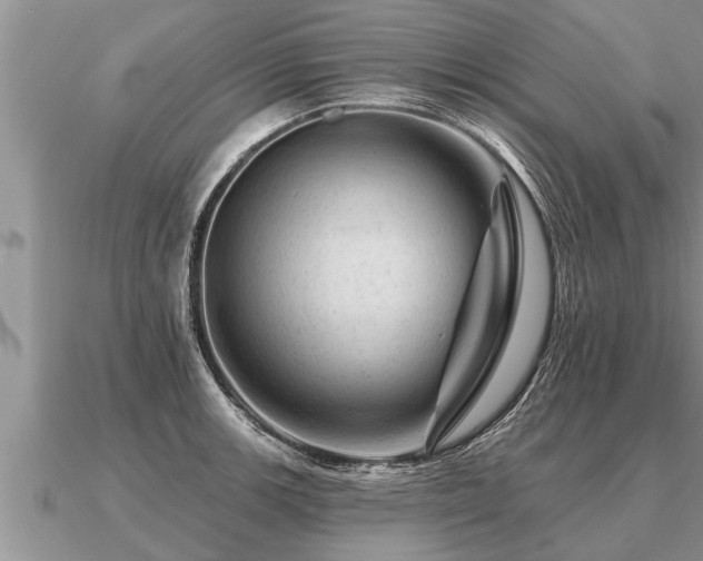 X0000091091139200708061631