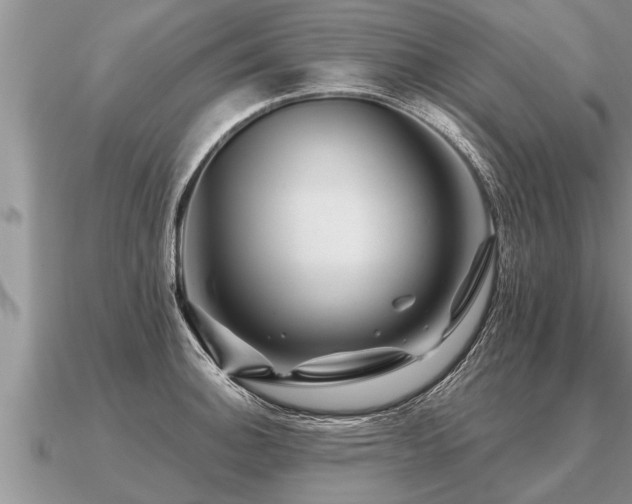 X0000091091140200708061631