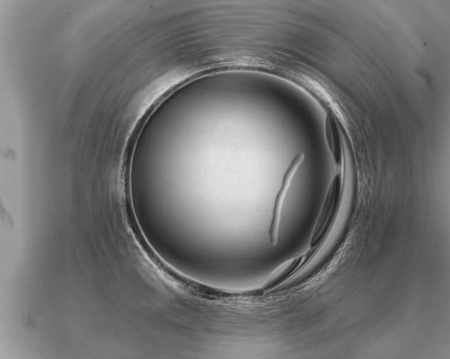 X0000091091141200708061631