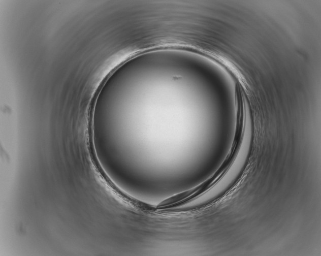 X0000091091142200708061631