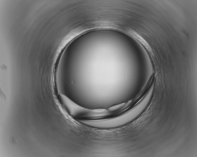 X0000091091144200708061631