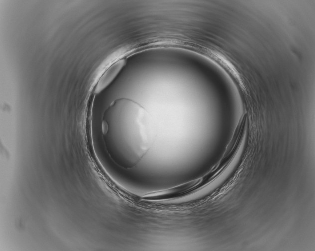 X0000091091146200708061631