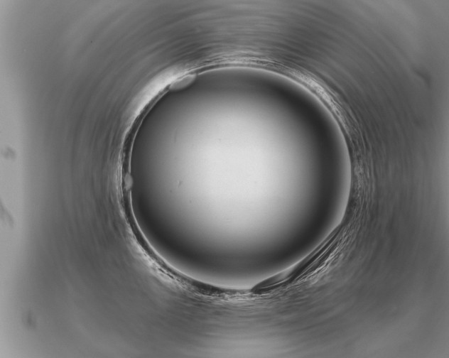 X0000091091147200708061631