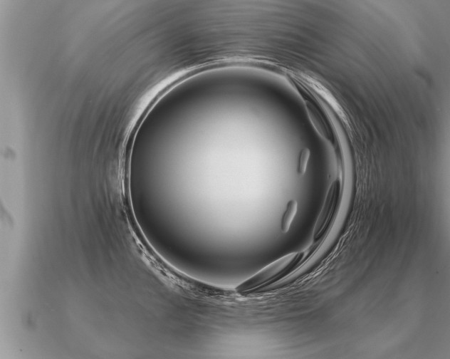 X0000091091148200708061631