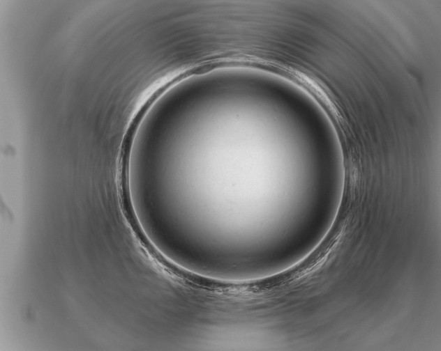 X0000091091149200708061631