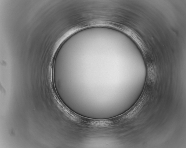 X0000091091150200708061631