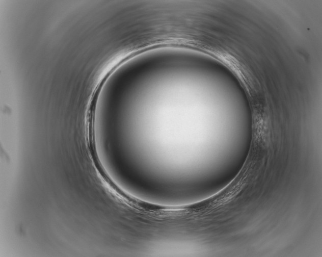 X0000091091151200708061631