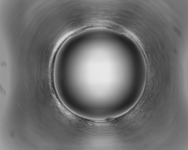 X0000091091152200708061631